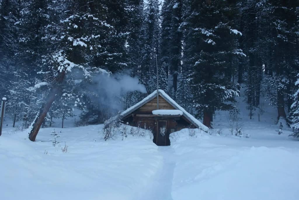 Снежный барс: фото 6