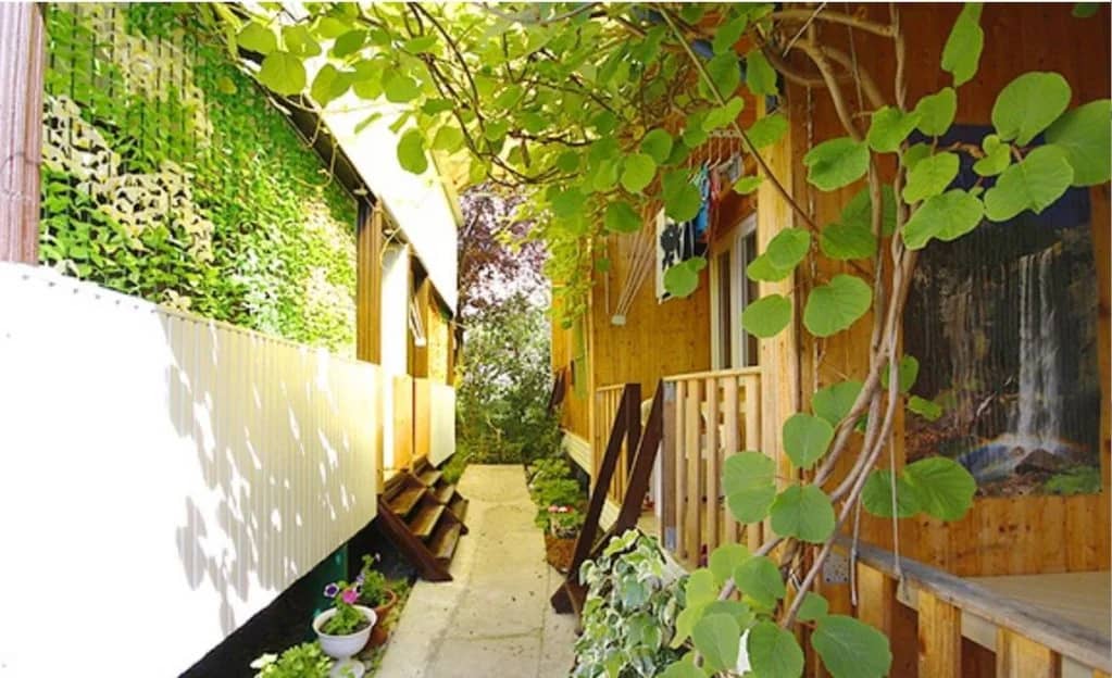 V Sochi Guest House: фото 6