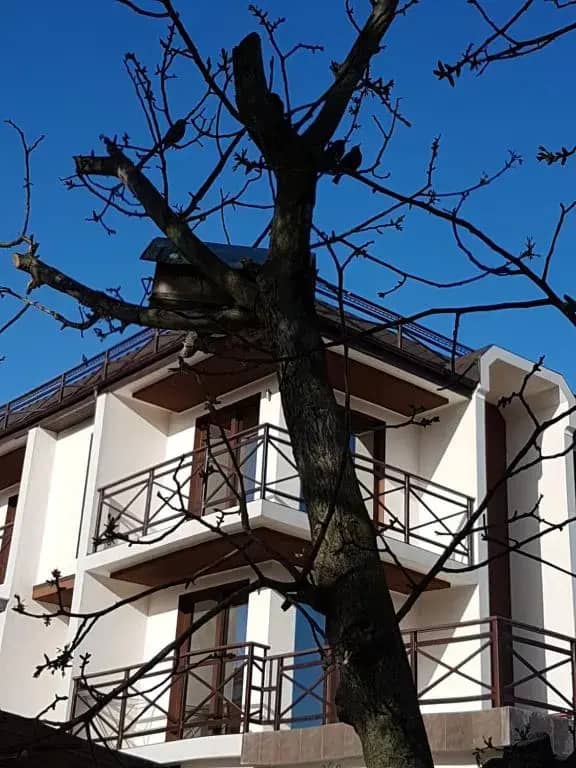 Гостевой дом Ольга: фото 5