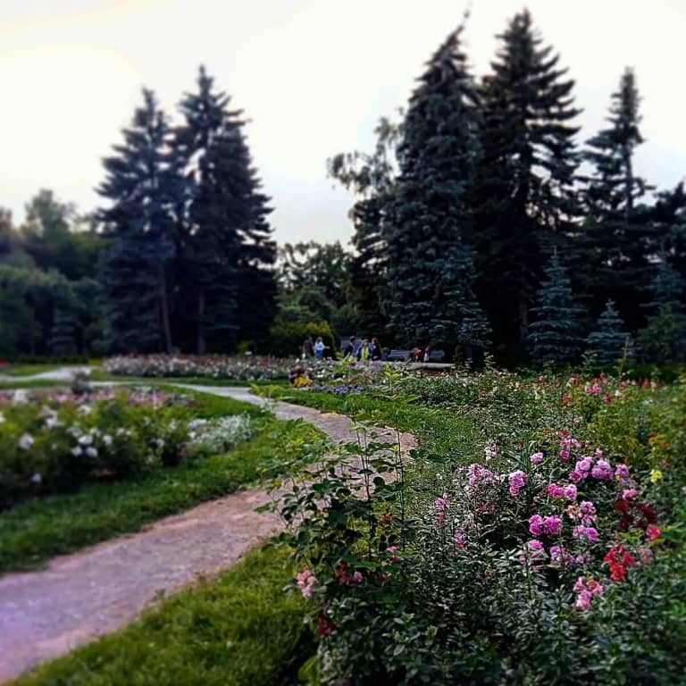 Хостел Уютное Местечко: фото 5