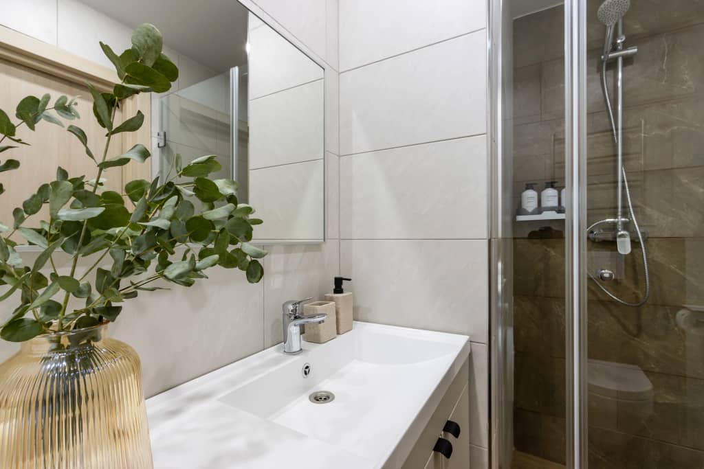 Апартаменты LERUKA HOME Терра: фото 6