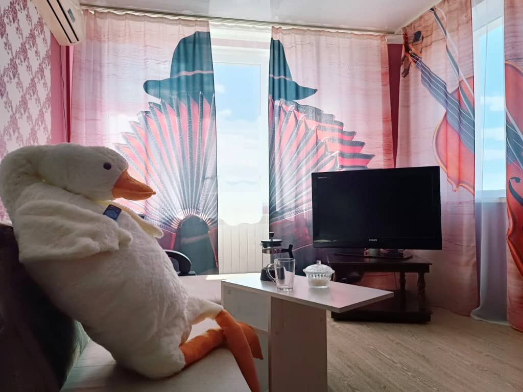 Квартира Двухкомнатная BaileVida rent на Гвардейском: фото 5