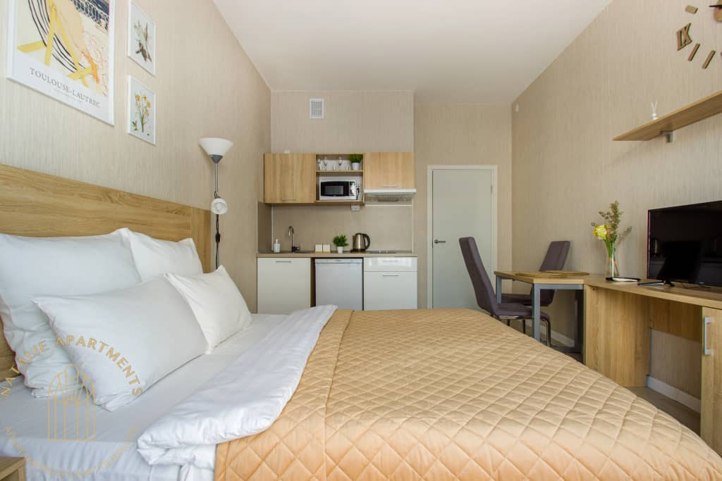 Апартаменты Студия Natalie Apartments Пулковское шоссе 14с6: фото 5