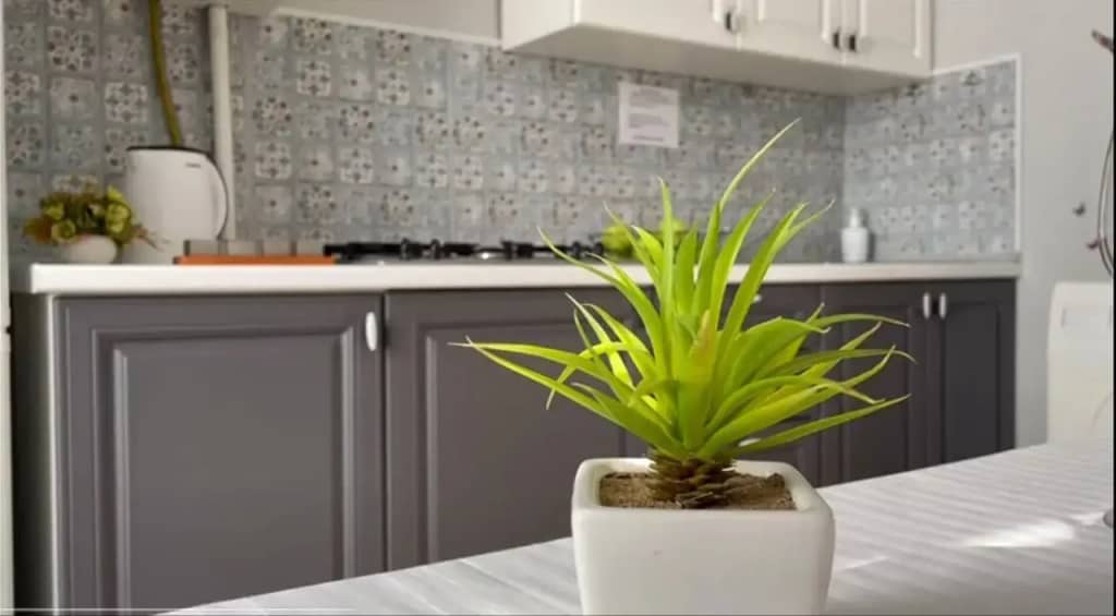 Комфорт Апартаменты Lora Home на Пражской: фото 6