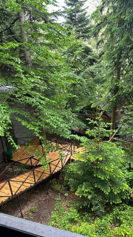 Гостевой дом АрхызGreen: фото 7