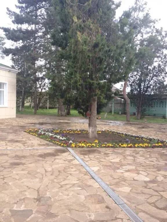 Ночлег и завтрак Гостиница Надежда: фото 4