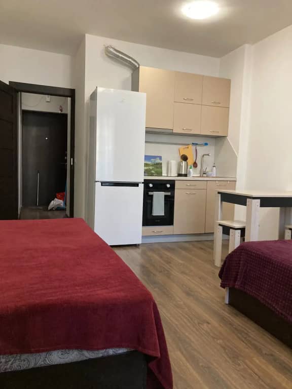 Апартаменты ApartPiter Ветеранов: фото 5