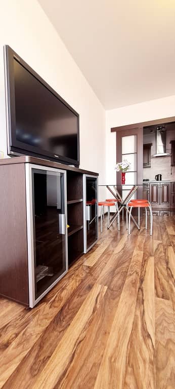 Апартаменты ApartLuxПолиныОсипенко: фото 5