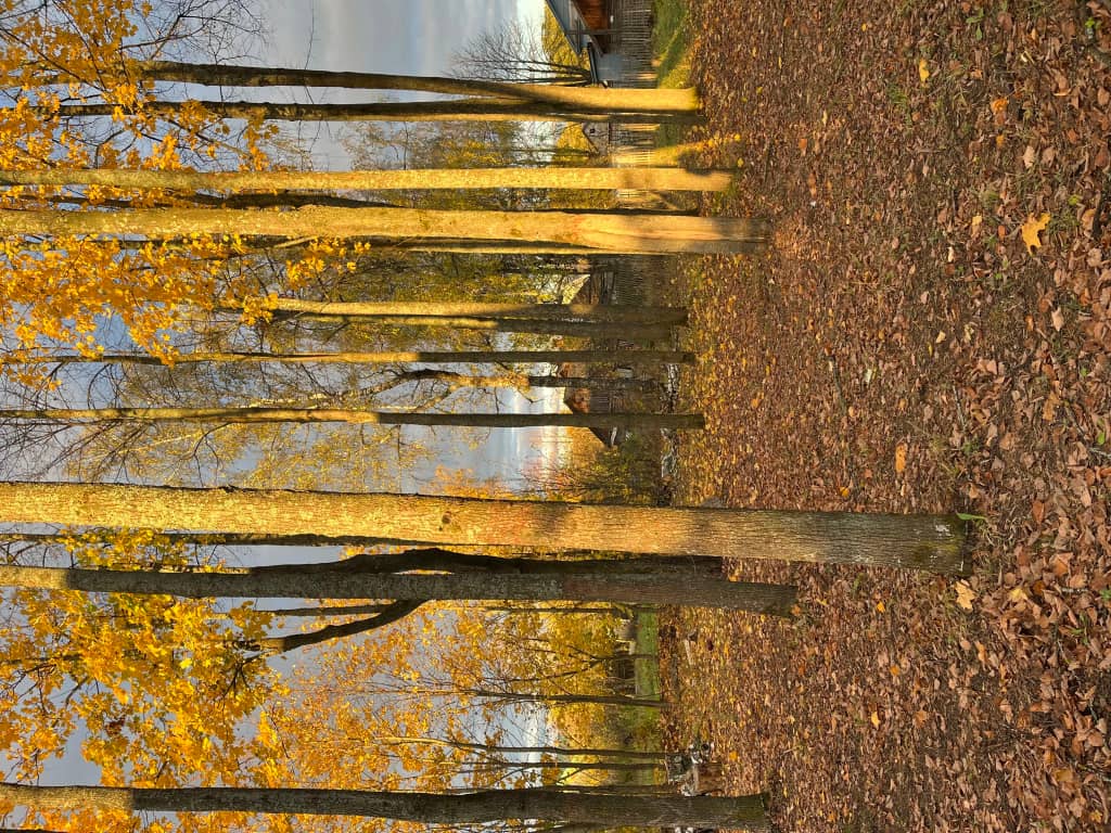 Гостевой Дом Дом-Театр: фото 6