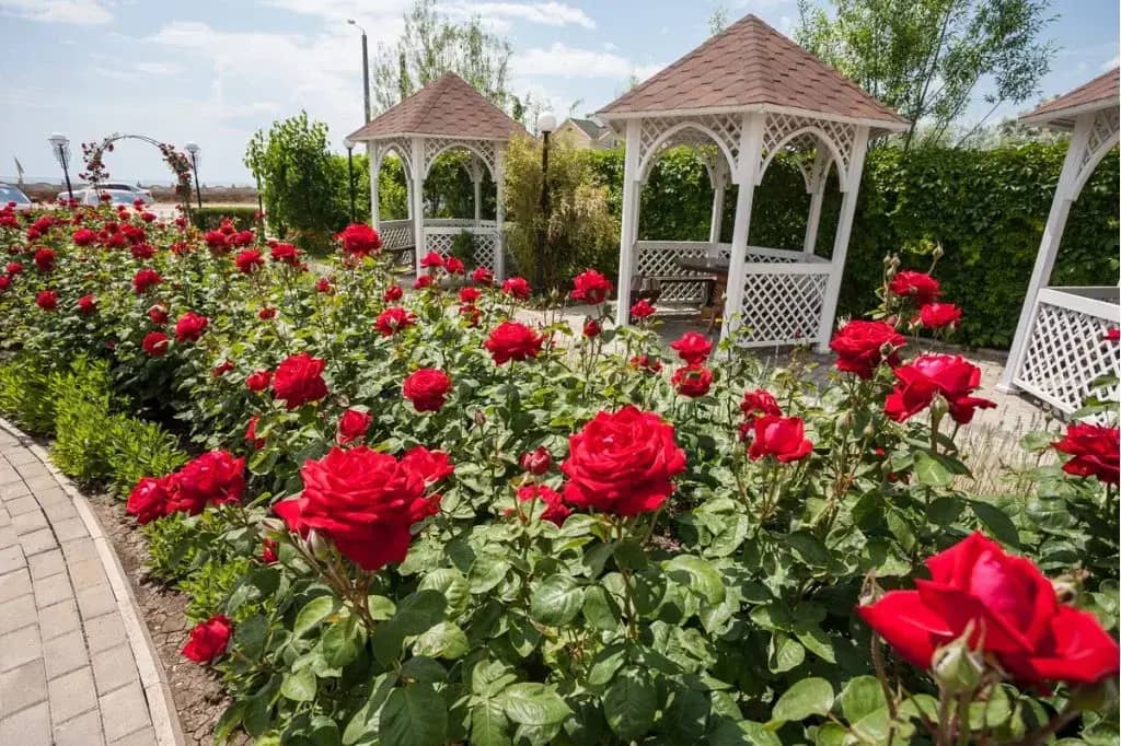 Мини-отель Ай-Петри: фото 6