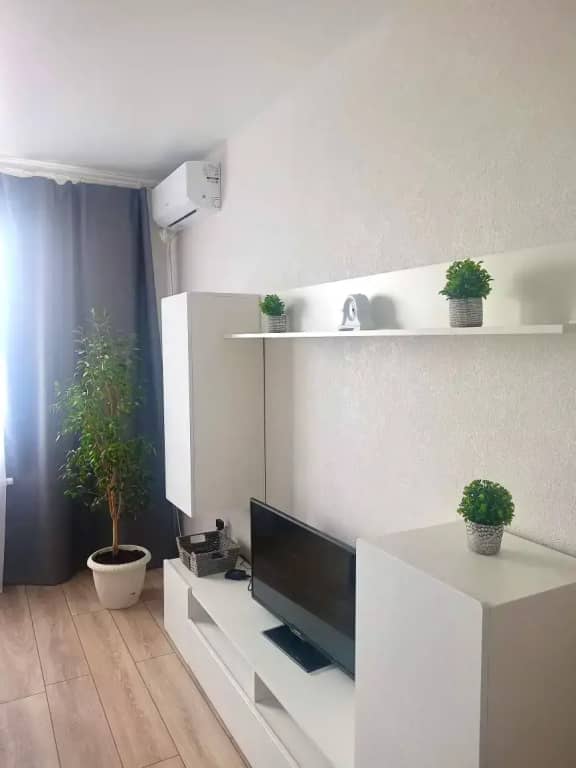Квартира Уютная однокомнатная квартира ЖК Озерки: фото 4