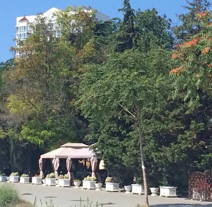 Апартаменты в Центре города: фото 4