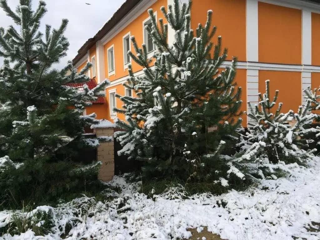 Гостевой дом Отель На Волге: фото 5