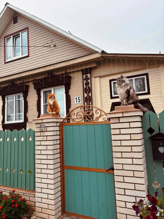 Гостевой дом Витальница: фото 4