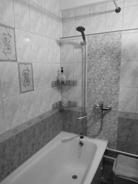 Квартира Комфорт Евро-2К: фото 7