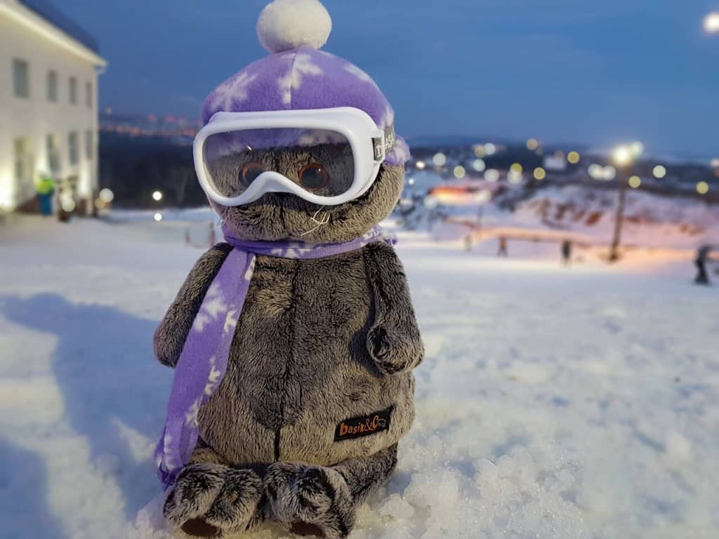 Гостевой дом Горыныч: фото 6