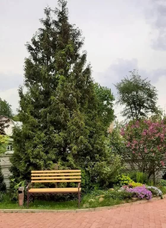 Гостинично-ресторанный комплекс «Альберт Отель»: фото 4