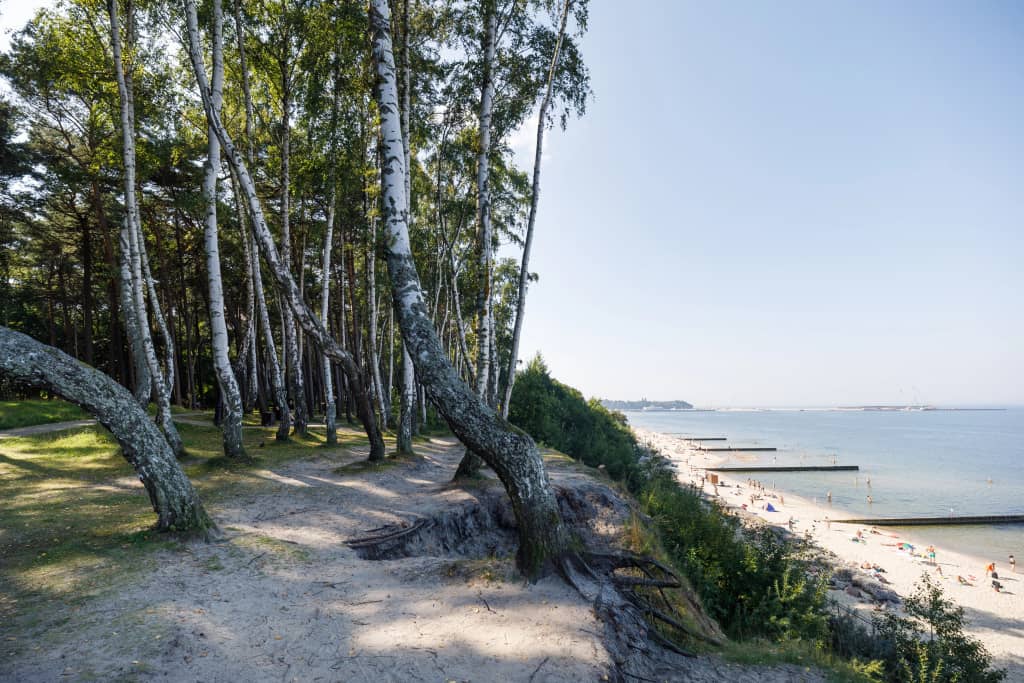 Квартира для Всей Семьи у Моря в Пионерском: фото 5