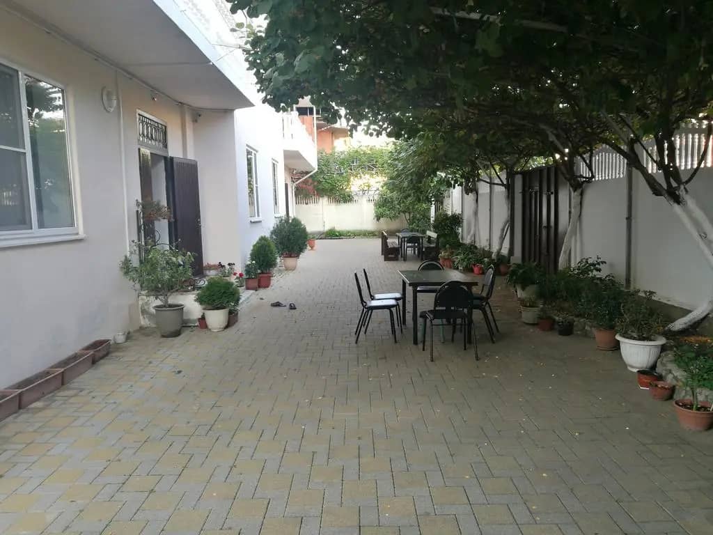 Kivi Guest House: фото 5