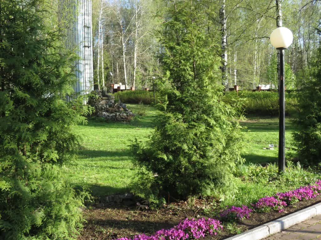 Гостиница Лесная: фото 4