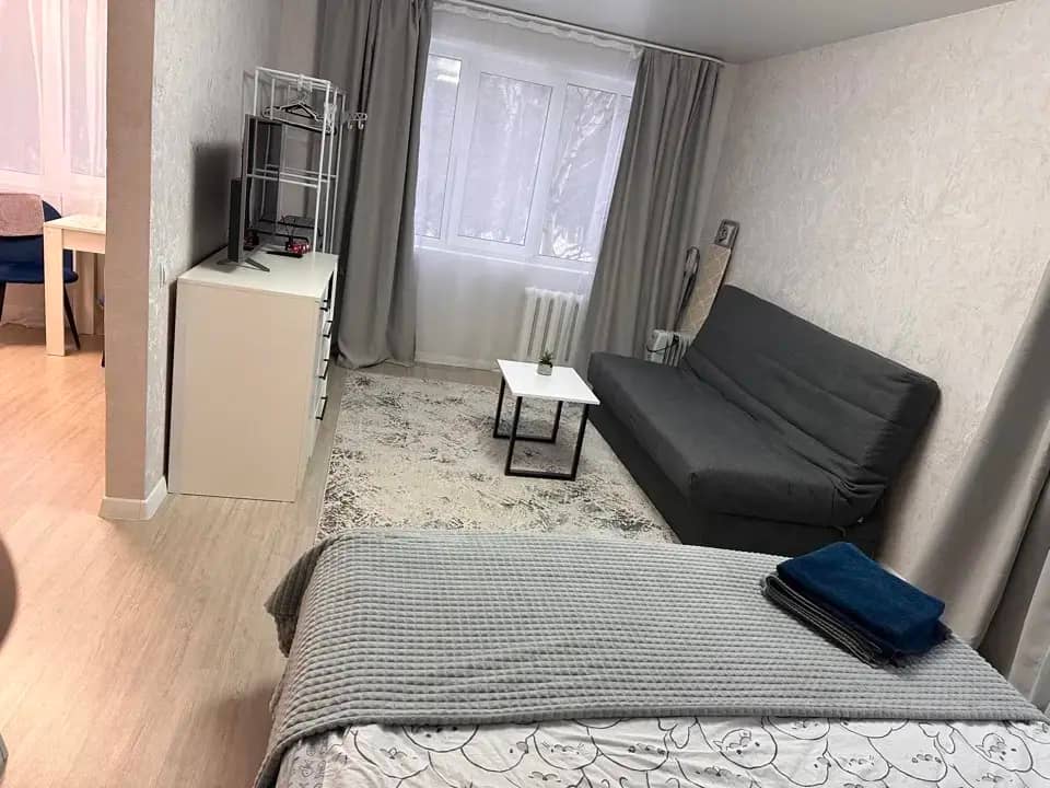 Квартира Однокомнатная в Центре: фото 5