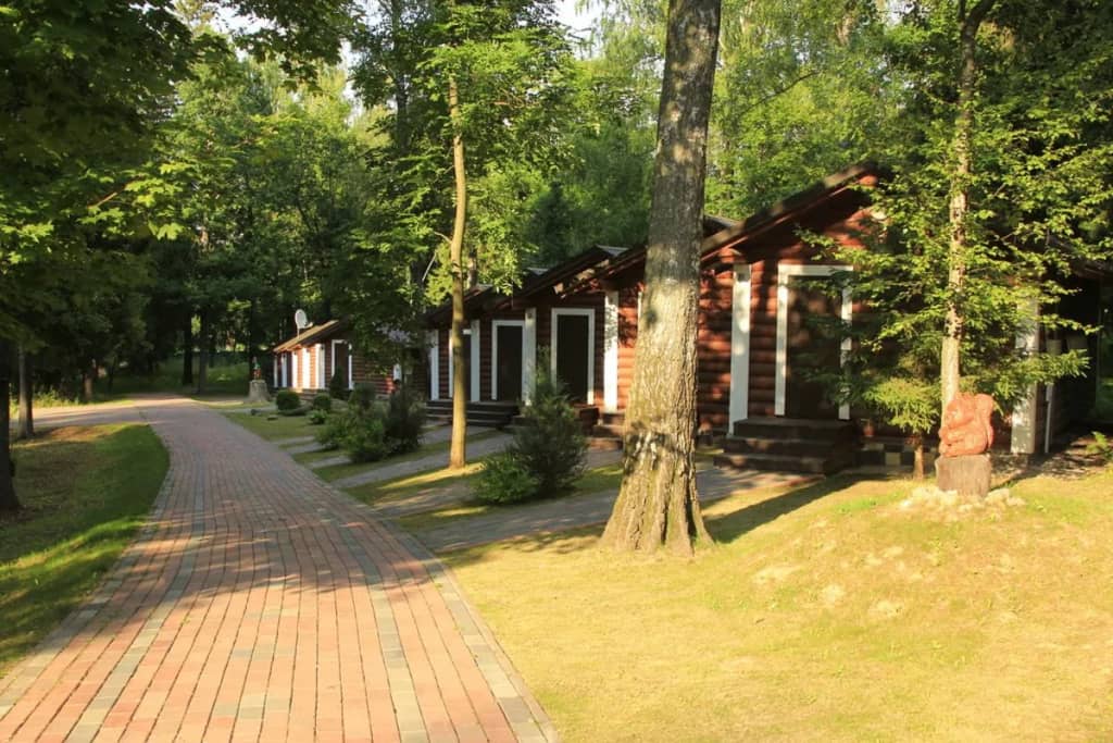 Эко-отель Березовая роща: фото 7