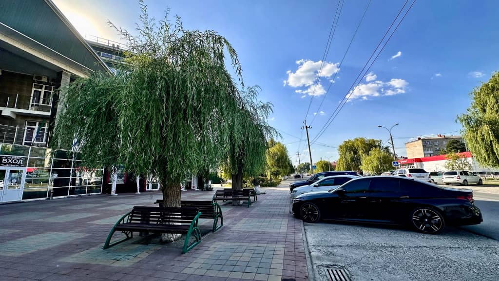 Парк-Отель Уют: фото 5