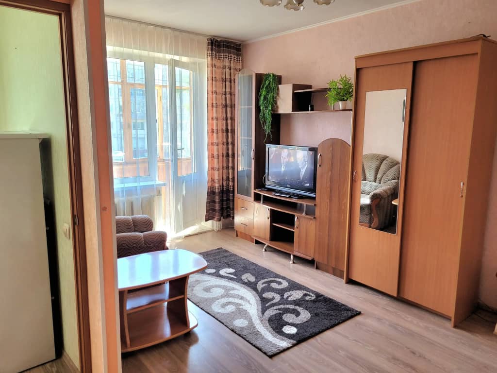Квартира 1 комнатная на Красноярском рабочем: фото 5
