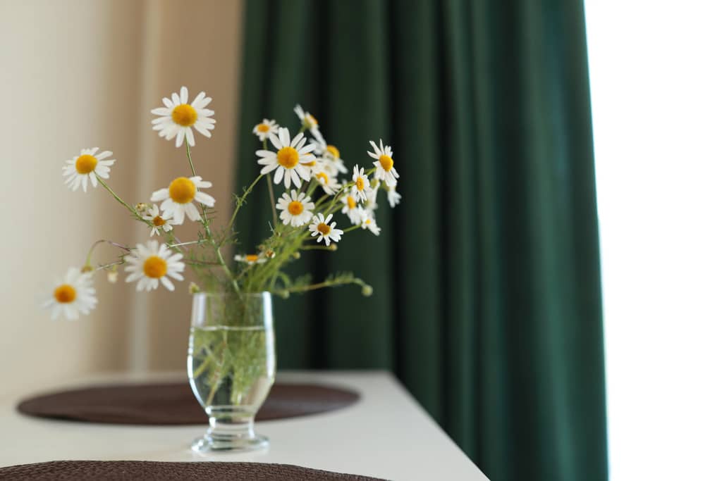 Квартира Garnet Apartments Уют: фото 7