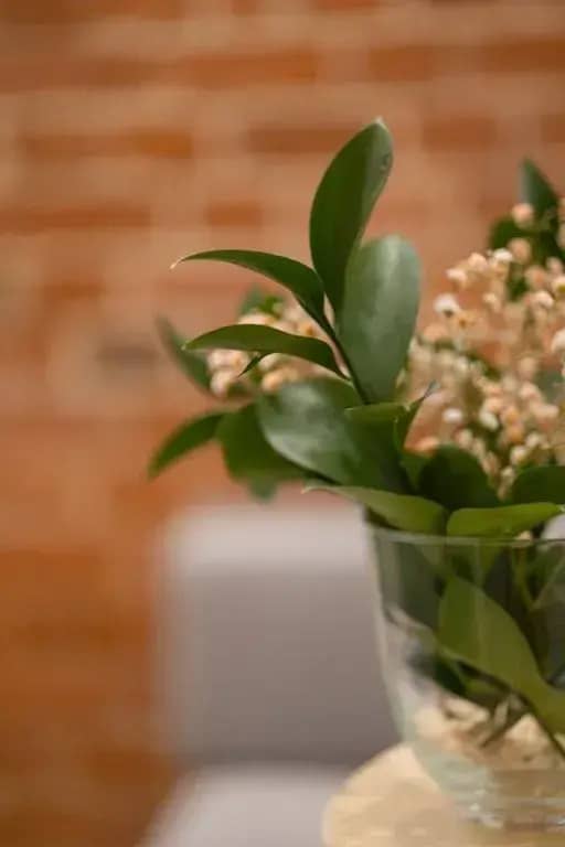 Апартаменты у Метро: фото 6