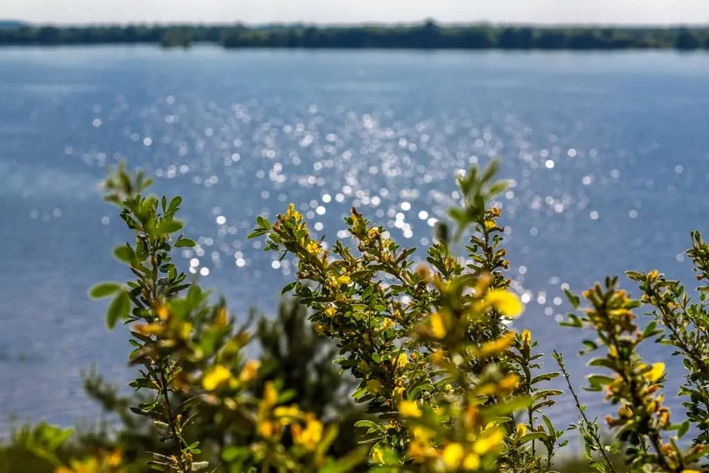 База отдыха Волшебная заводь: фото 5