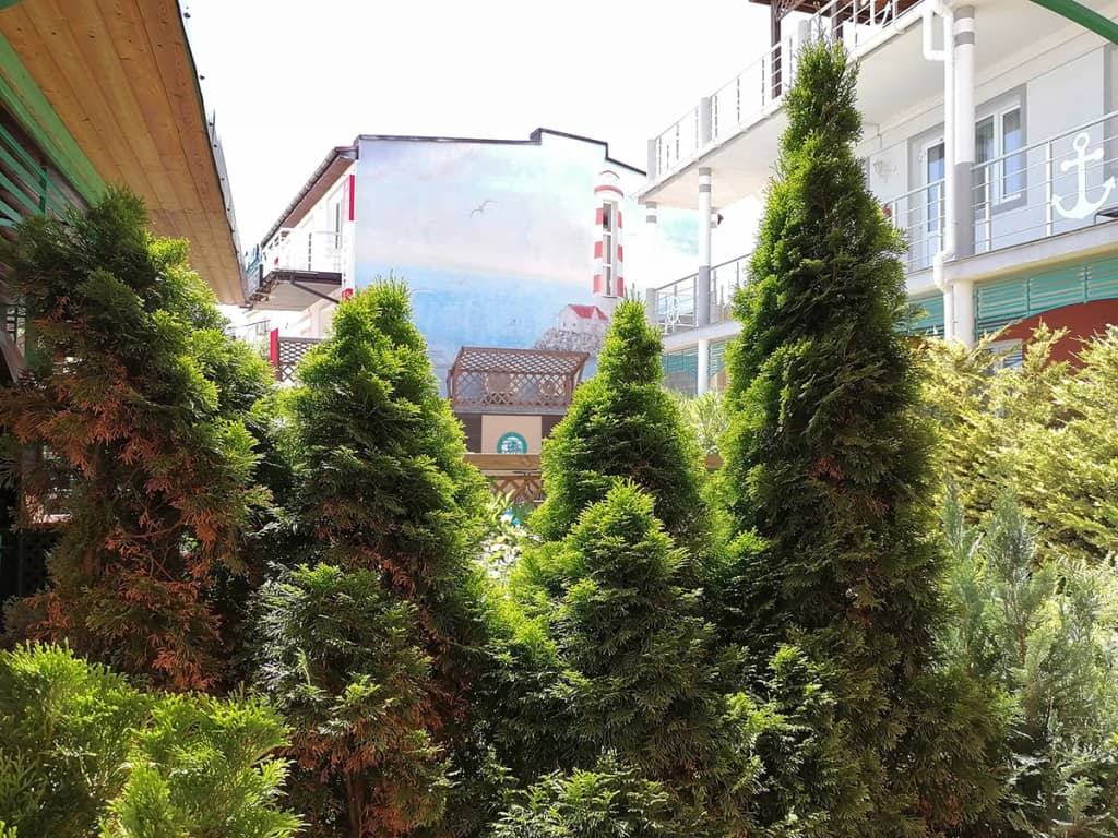 Гостевой дом Два Маяка: фото 6
