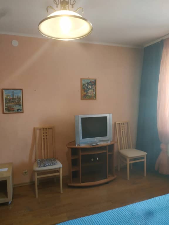 Квартира Большая однушка на пр. Ленина: фото 7