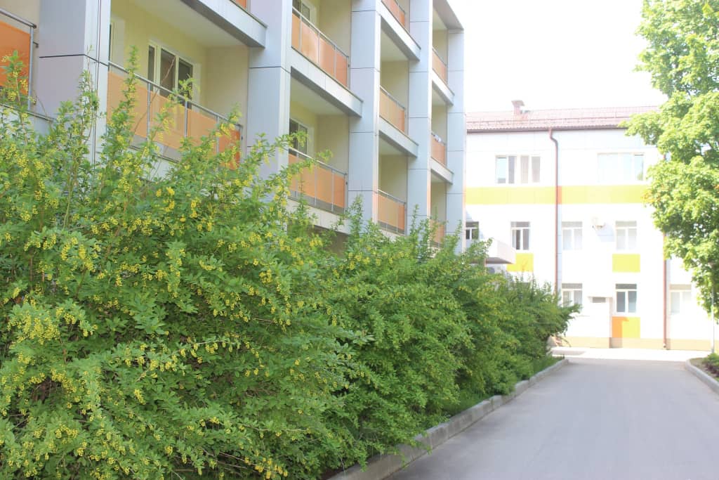 Borovichskij(AO BKO): фото 6