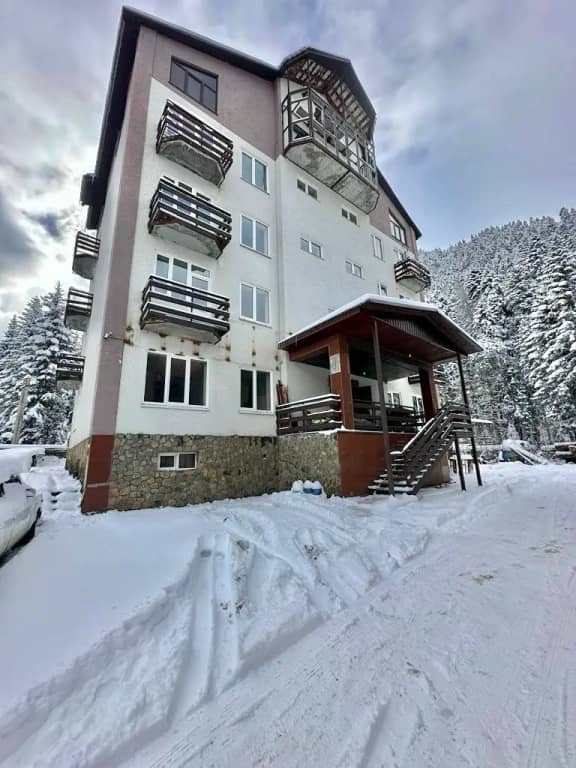 Артхаус Домбай: фото 4