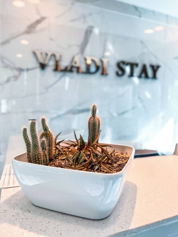 Vladi Stay: фото 5