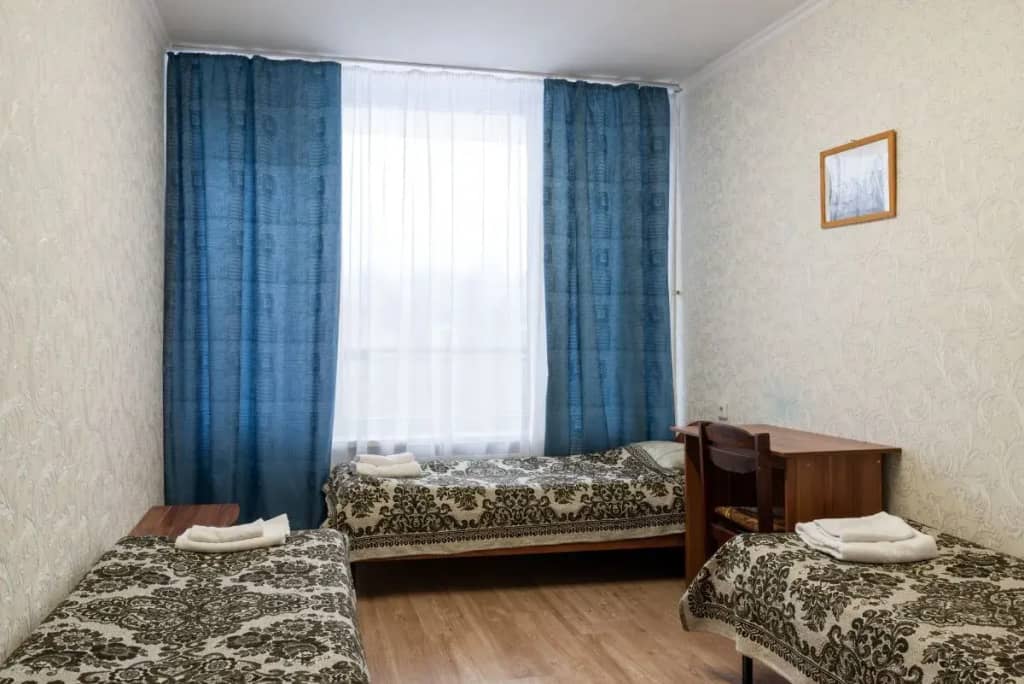 Lesnoy Gorodok Hotel: фото 5