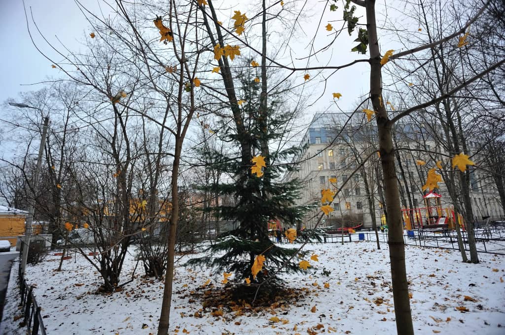 Квартира Мемориальная сталинка в центре Петербурга: фото 7
