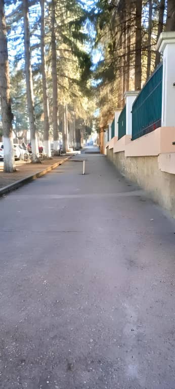 Квартира в Курортной Зоне: фото 5