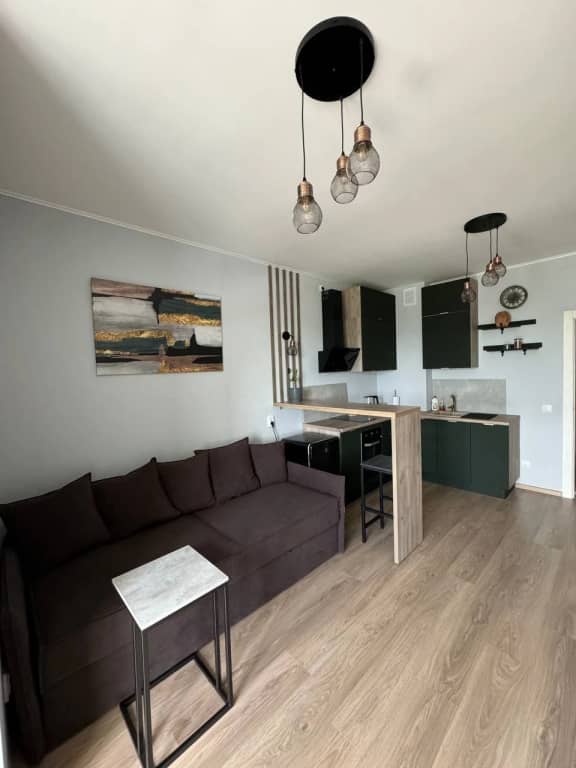 Квартира Студия Loft в ЖК Бизнес-Класса Новокольцовский: фото 4