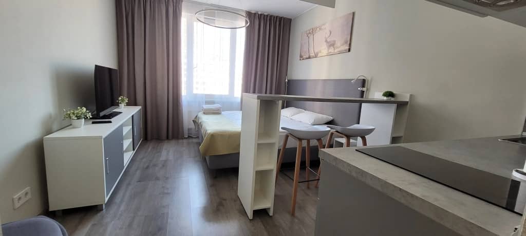 Апартаменты LuxApart м Купчино: фото 6