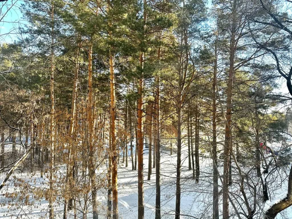 Квартира студия в самом центре с парковкой: фото 4