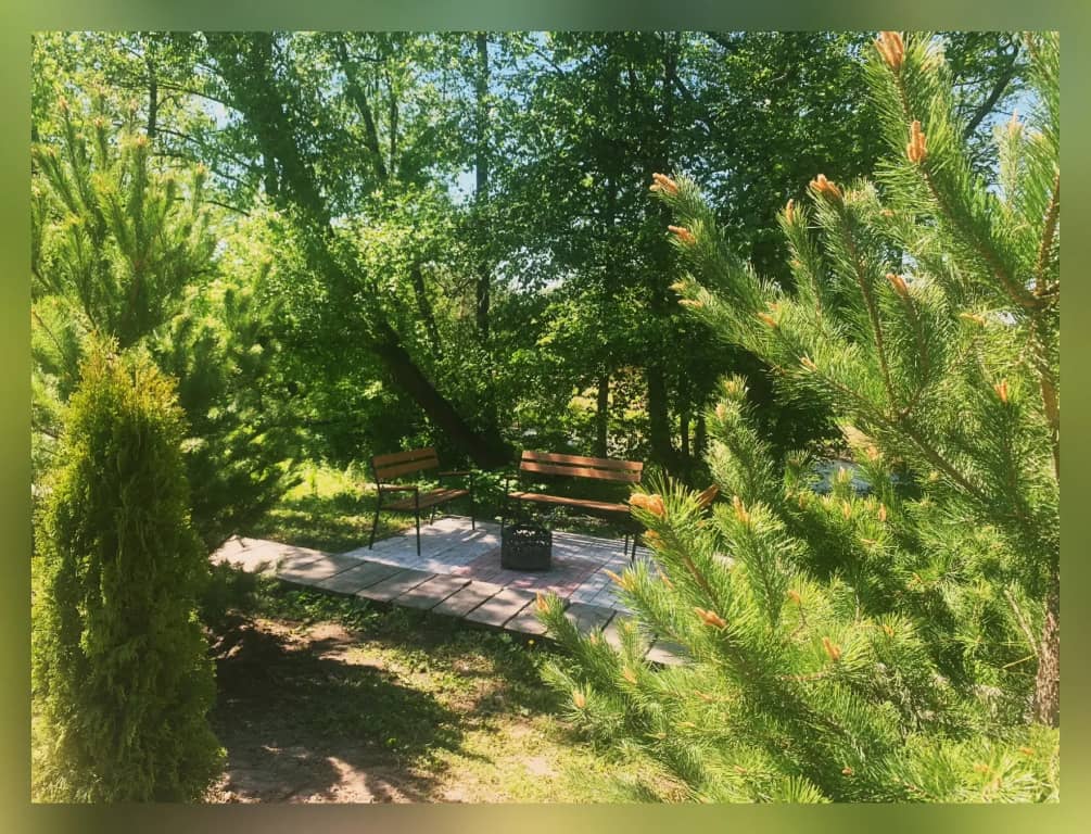 Гостевой дом Домик Лесника Солотча: фото 5