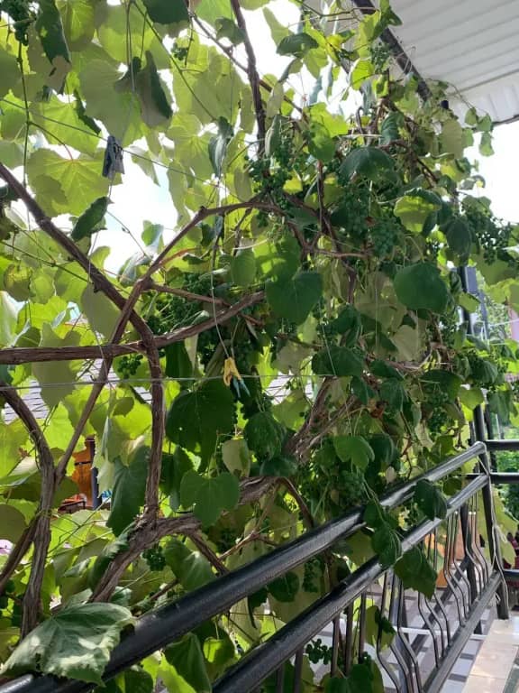 Гостевой дом Оберег: фото 6
