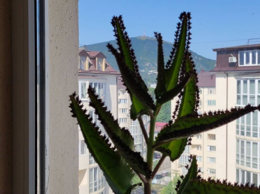 Апартаменты Видовые с видом на Машук: фото 5