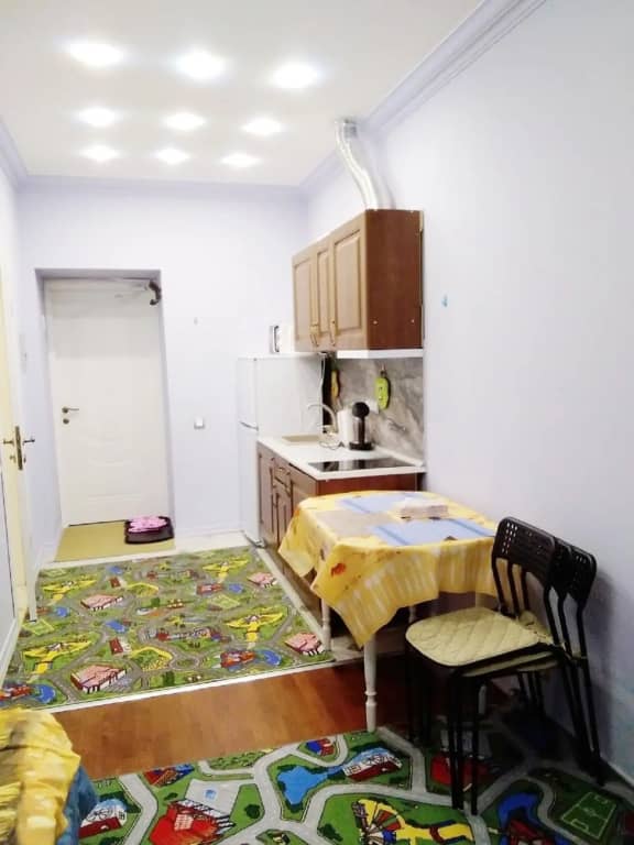 Апартаменты у Грибоедова, с кодовым доступом,личной кухней и уборной: фото 7