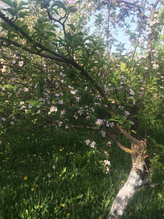 Гостевой Дом на Куйбышева: фото 5
