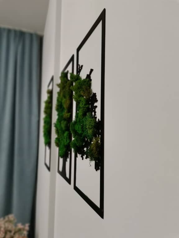 Квартира Студия: фото 5