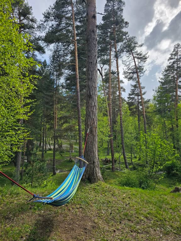 База отдыха Sherwood Arkhyz: фото 7