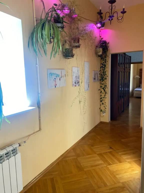 Квартира у Летнего сада: фото 5